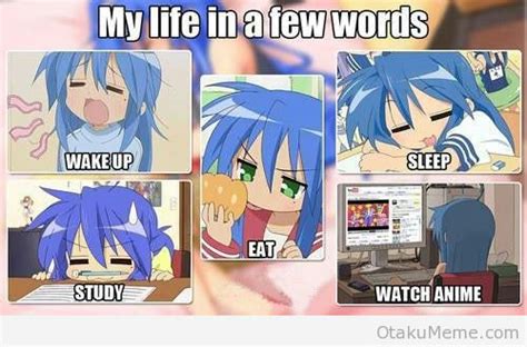 Lucky Star memes | Lucky Star Amino