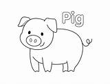 Adorable Pig Coloring Page sketch template