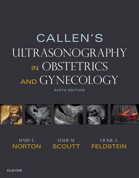 Callen's Ultrasonography in Obstetrics and Gynecology E-Book (eBook)