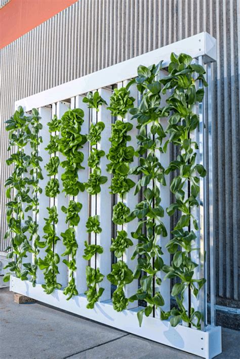 ZipGrow™ Farm Wall™ | Ultimate Vertical Hydroponic System