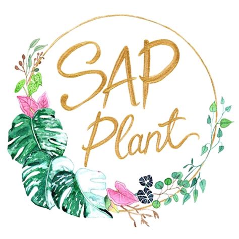 Sap Plant, ร้านค้าออนไลน์ | Shopee Thailand