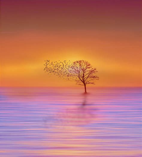 Tranquil scenery 💫 - | Scenery, Tranquility, Fine art