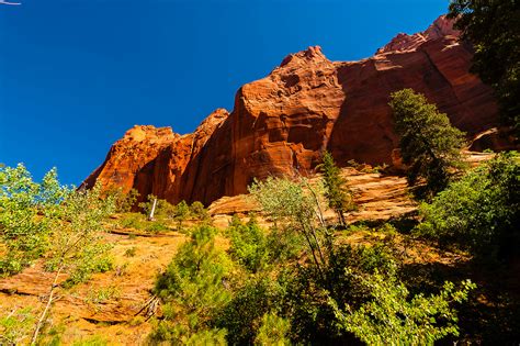 Taylor Creek Trail, Kolob Canyon, Zion National Park, Utah USA. | Blaine Harrington III