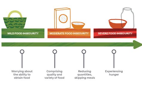 Introduction to Food Insecurity in Liverpool: Definitions, Impact ...