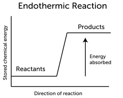 Endothermic Reactions | CK-12 Foundation