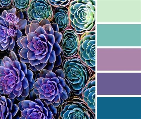 pink, purple, turquoise decorating scheme at DuckDuckGo | Turquoise color palette, Purple color ...