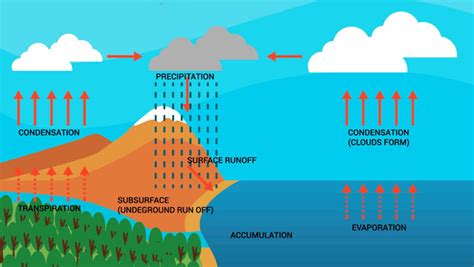 Accumulation Water Cycle