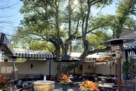 Backstreet Cafe is losing its signature camphor tree | Community Impact