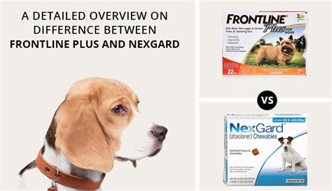 A Detailed Overview On Difference Between Frontline Plus And Nexgard - BudgetPetWorld