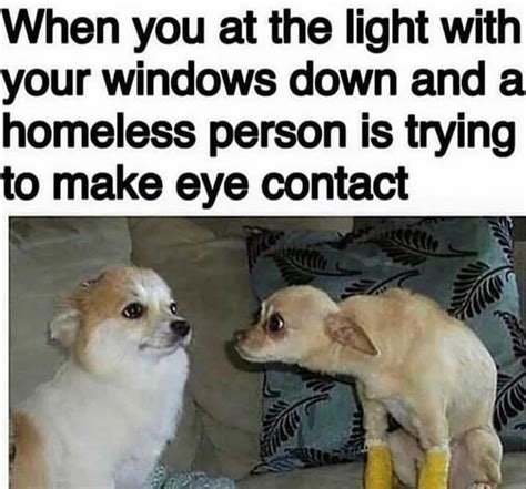 Don't look don't look don't look | Memes, Funny photos, Funny dog pictures