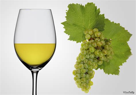 Chardonnay Wine Guide | Wine Folly