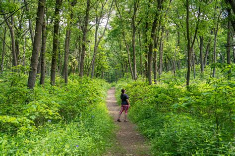 How to Spend One Day at Indiana Dunes National Park