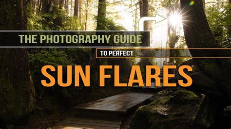 The Sun Flare Photography Guide - How To Capture Better Sun Flares