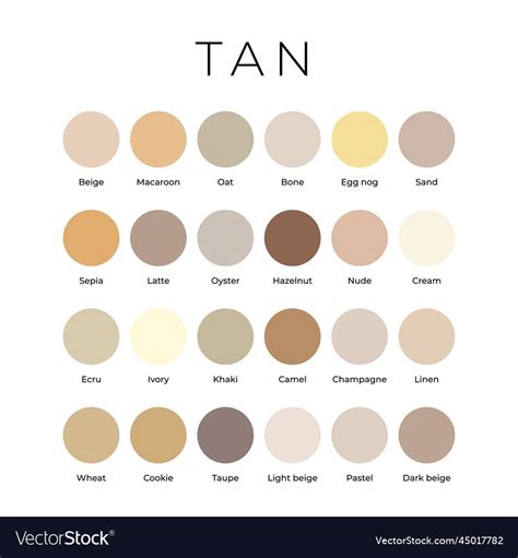 Tan beige color shades swatches palette with names vector image on ...