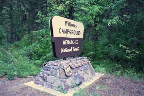 Campgrounds at Mt. Rainier National Park