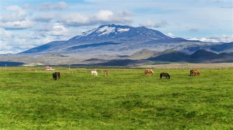 Hekla Volcano: Facts and Activities | Bookmundi