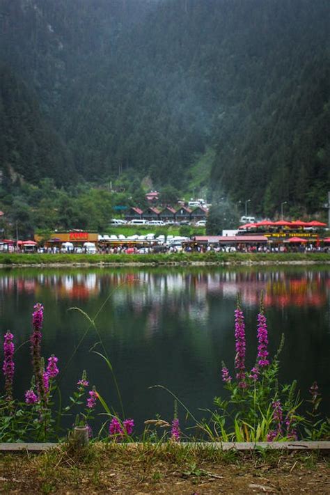 Resort Behind Lake in Mountains · Free Stock Photo