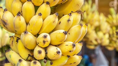 This CRISPR’d (and non-GMO) banana is now officially approved