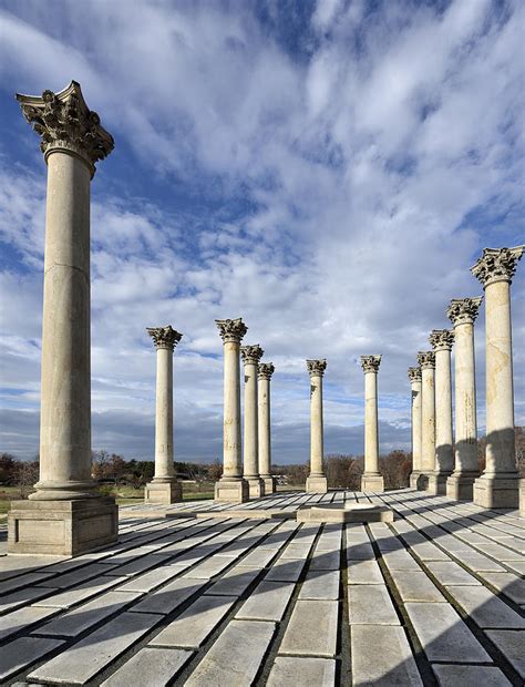 Capitol Columns - National Arboretum Photograph by Brendan Reals - Fine Art America