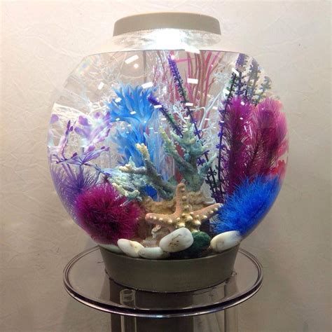 Decorating a fish tank is as important as the fish you put in it ...