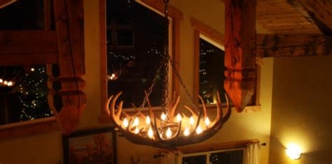 Moose Antler Chandeliers and Lighting