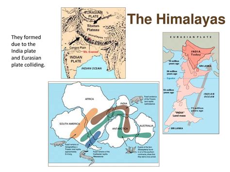 PPT - The Himalayas PowerPoint Presentation, free download - ID:2656777