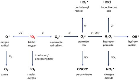 Cancers | Free Full-Text | Impact of ROS Generated by Chemical ...