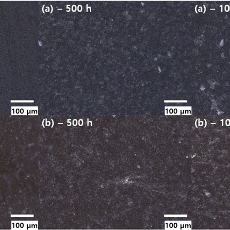 Optical microscopy image of fluoroelastomer with different thermal... | Download Scientific Diagram