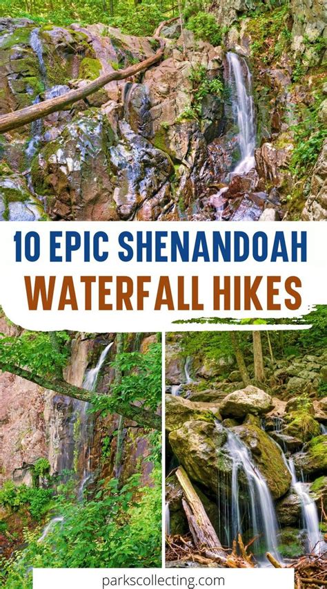 10 Epic Shenandoah Waterfall Hikes in 2022 | North america travel destinations, American ...