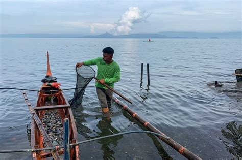 Fishing in Taal lake – Filipino News