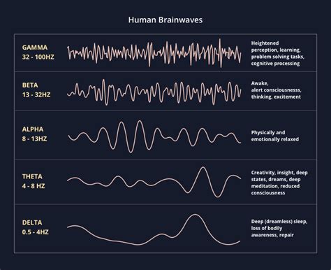 メールにて 【中古】【輸入品・未使用】Brainwave：スカイマーケットプラス きます - bhraynabags.com