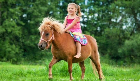 Considerations for Riding Miniature Horses - Helpful Horse Hints