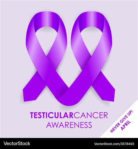 Testicular cancer ribbon Royalty Free Vector Image