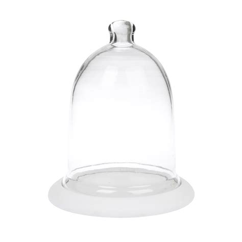 Glass Cloche With Wooden Base by Sophie Allport