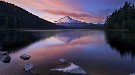 Green reflection in the peaceful lake HD desktop wallpaper : Widescreen : High Definition ...