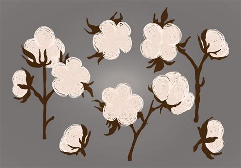 Vector Cotton Plant Illustration 104598 Vector Art at Vecteezy