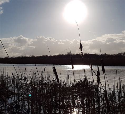 Our location | Norfolk Broads Wildlife Photography Trips