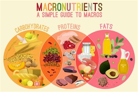 Macronutrients – Nutrition Skinny™