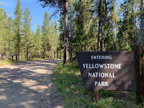 Yellowstone National Park visitation numbers down again in August ...