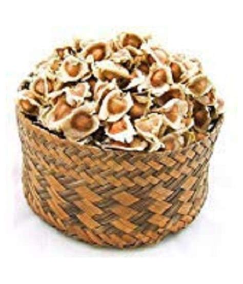 AtoZprintshop DRUMSTICK Seeds - 100 NOS - Premium Quality: Buy ...