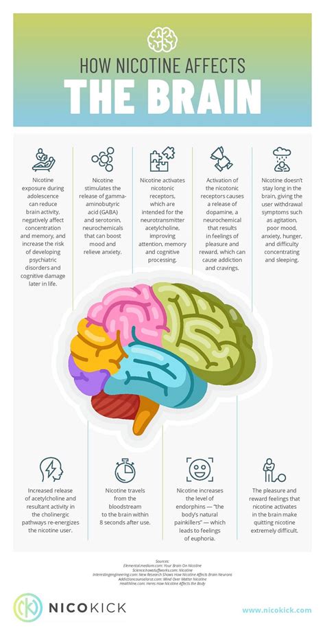 The Effect Of Nicotine On The Brain - Go 4 Healthy Life