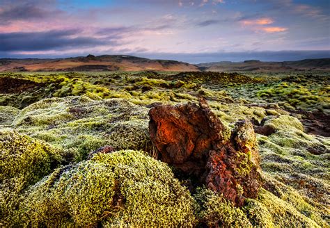 Eldhraun Lava Field | Sunrise at the Eldraun lava field in I… | Flickr