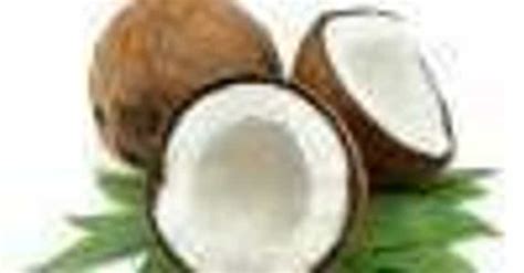 Best Coconut Oil Brands | Top Coconut Oil Companies