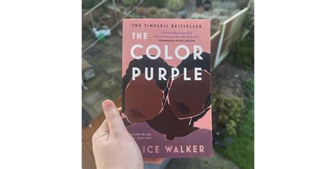 The Color Purple – Alice Walker 4 *'s – Literature Stitches