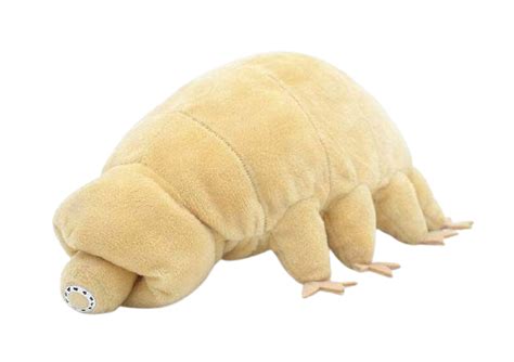 Tardigrade plushie by Style's Bug