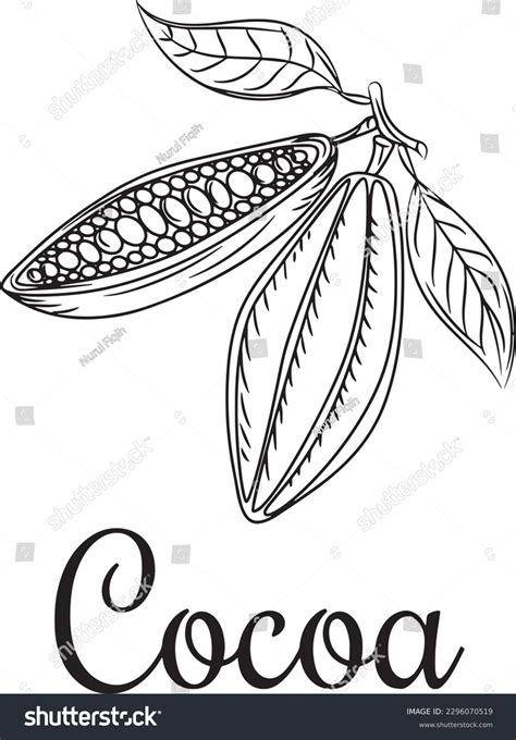 Large Vector Logos Chocolate Template Stock Vector (Royalty Free) 2296070519 | Shutterstock