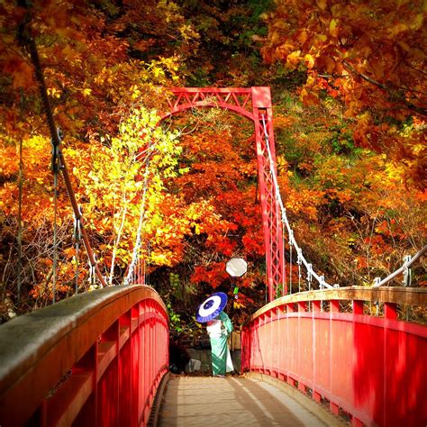 HOKKAIDO NATURE TOURS (Sapporo): Tutto quello che c'è da sapere