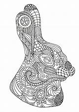 Rabbit Head To Color  & Bunny Coloring Pages sketch template