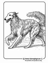 482 Dog Coloring Pages  Free Printable 🐾 Animal sketch template