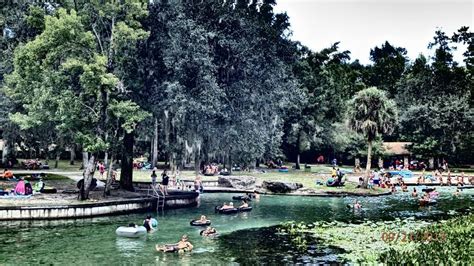 Kelly Park - Apopka - Kelly Park features a free-flowing natural spring (about 70 degrees), full ...